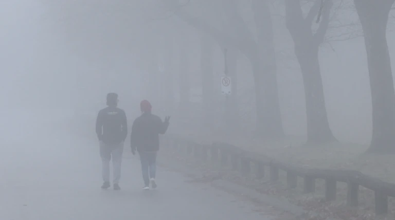 metro-vancouver-fog-advisory-1-6664120-1701192996804.webp